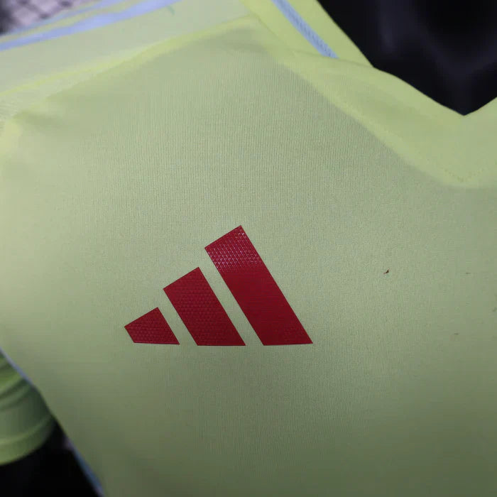 Maillot extérieur Espagne 2024/2025