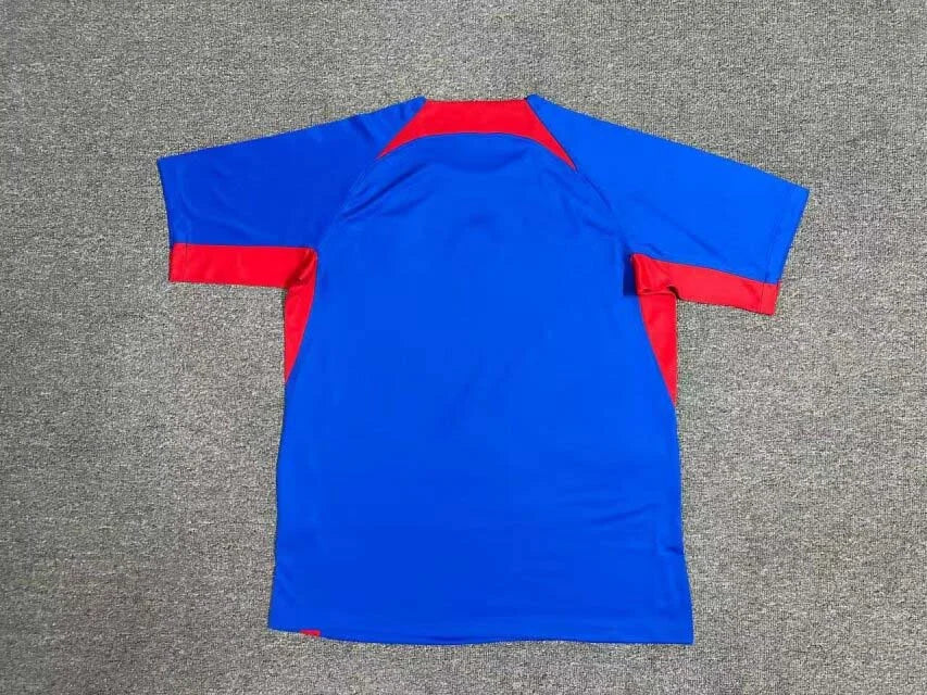 2024 Slovakia Local Kit