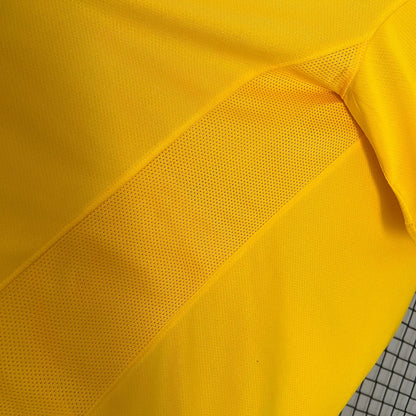 2010 Retro Brasil Local