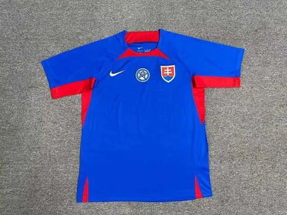 2024 Slovakia Local Kit