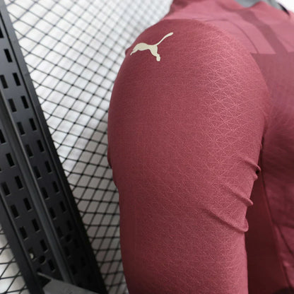 2024/2025 Manchester City Alternativa Visitante Manga Larga