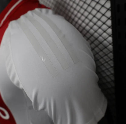 Ajax 2024/2025 Local Kit