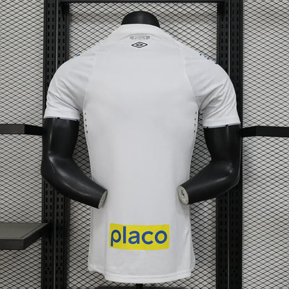 Santos 2024/2025 Local